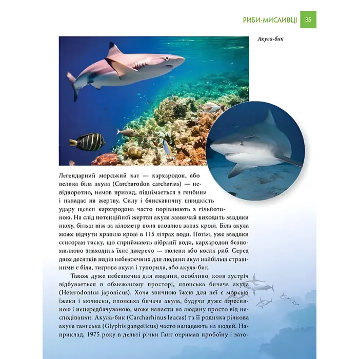 Енциклопедія для допитливих. Найнебезпечніші істоти планети (9789669355850)