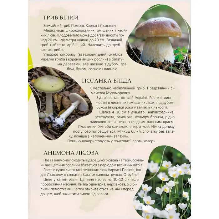 Енциклопедія для допитливих. Перлини природи України (9789669890764)