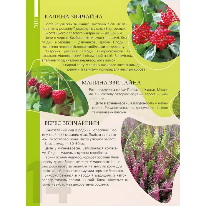 Енциклопедія для допитливих. Перлини природи України (9789669890764)