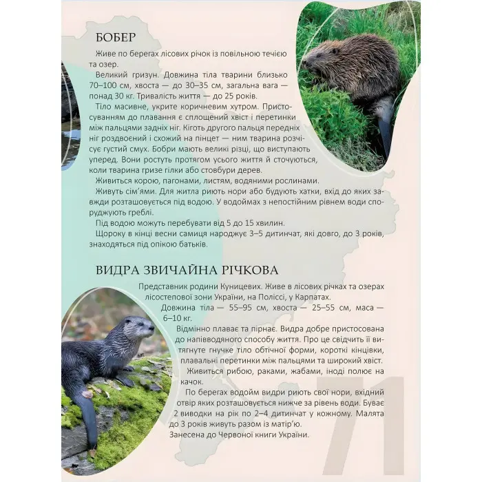 Енциклопедія для допитливих. Перлини природи України (9789669890764)