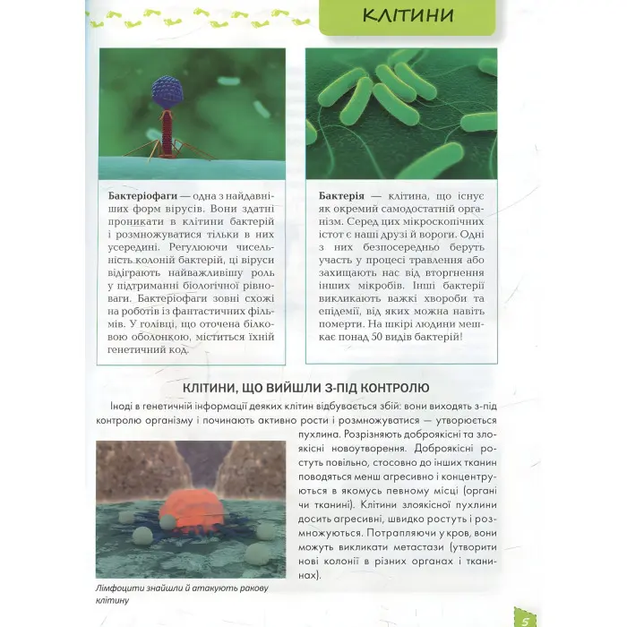 Енциклопедія для допитливих. Про тіло людини (9786177292561)