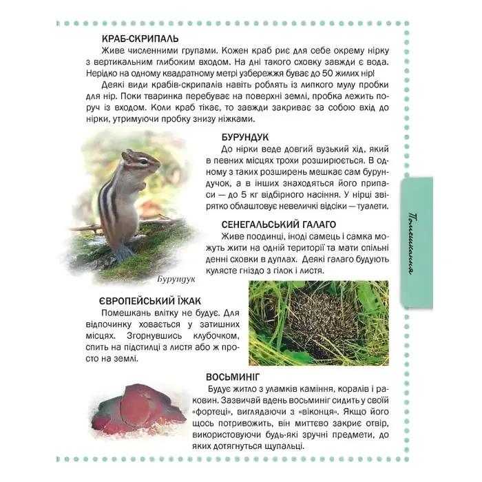 Енциклопедія для допитливих. Тварини Енциклопедія (9786176950264)