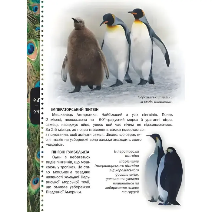 Енциклопедія для допитливих. Тварини Енциклопедія (9786176950264)