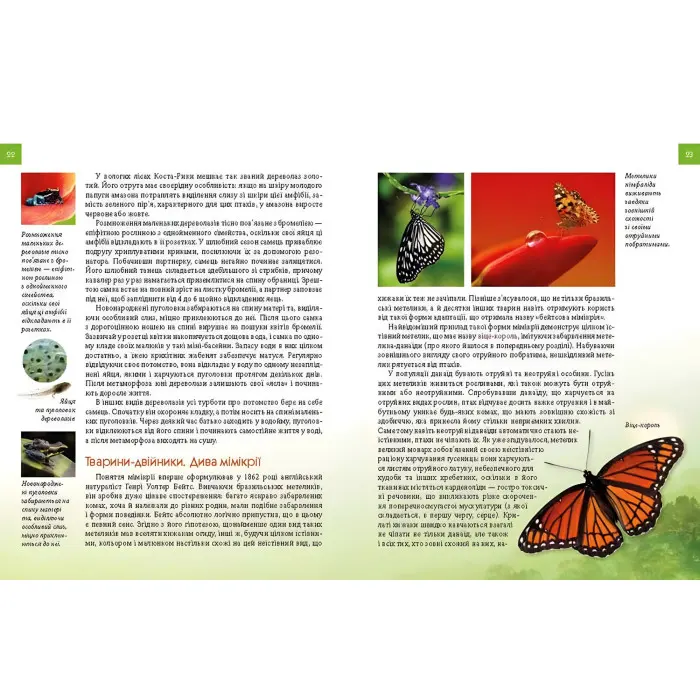 Енциклопедія для допитливих. Тварини - майстри маскування (9789669359650)