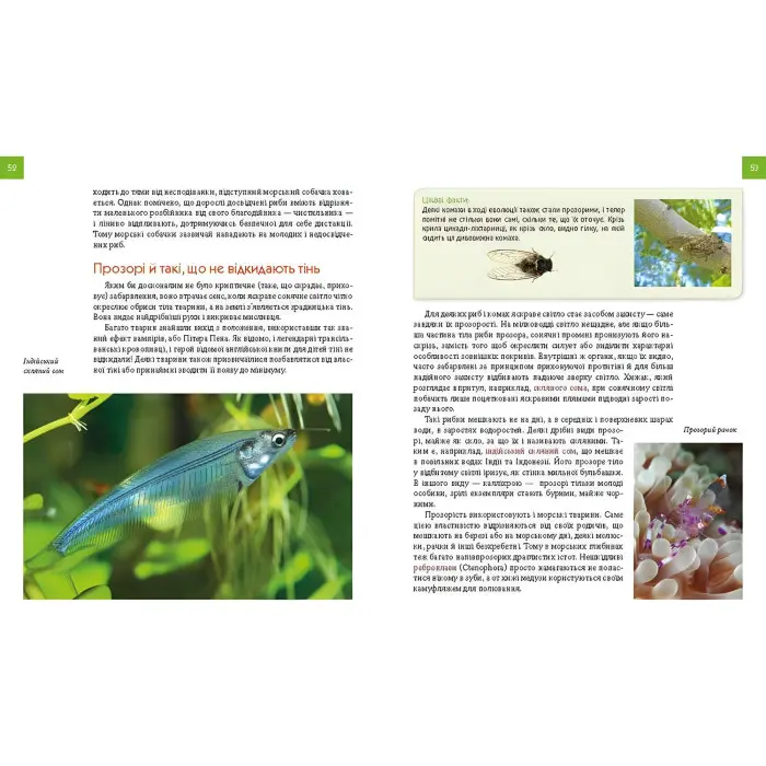 Енциклопедія для допитливих. Тварини - майстри маскування (9789669359650)