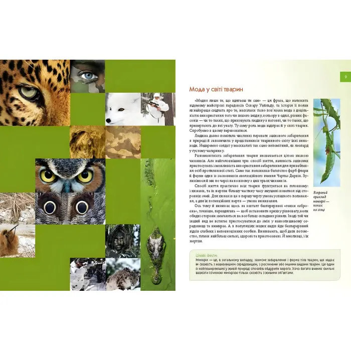 Енциклопедія для допитливих. Тварини - майстри маскування (9789669359650)