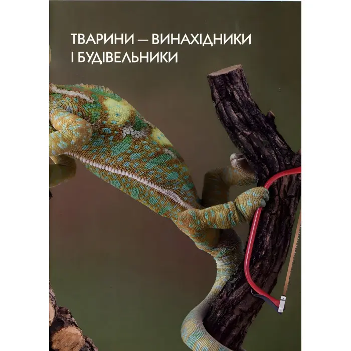 Енциклопедія для допитливих. Тварини - винахідники і будівельники (9789669356048)