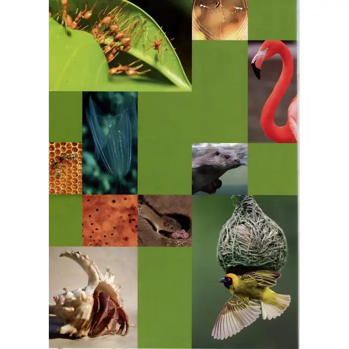 Енциклопедія для допитливих. Тварини - винахідники і будівельники (9789669356048)