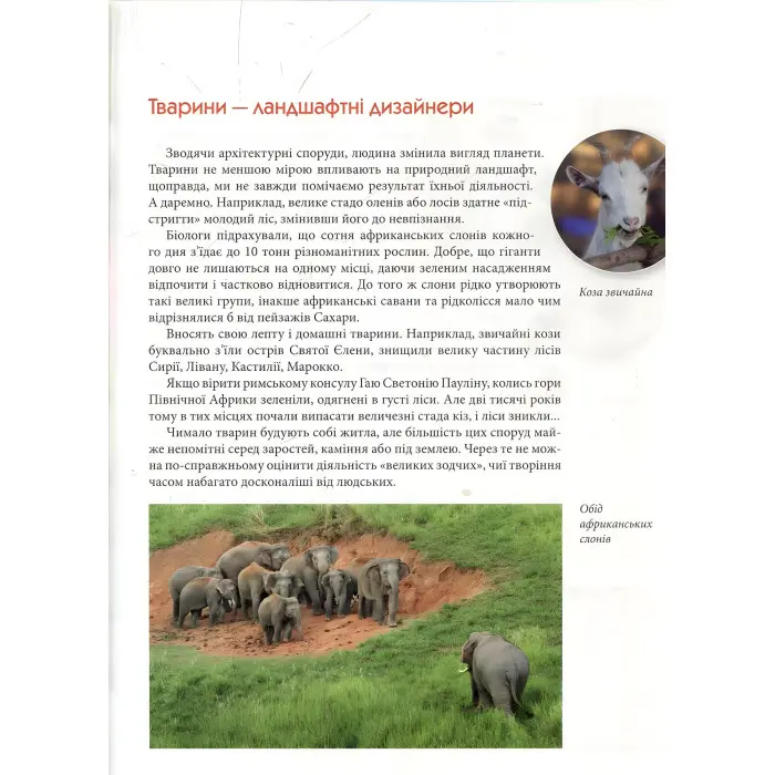 Енциклопедія для допитливих. Тварини - винахідники і будівельники (9789669356048)