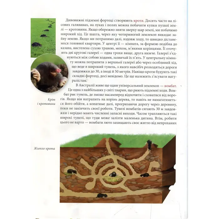 Енциклопедія для допитливих. Тварини - винахідники і будівельники (9789669356048)