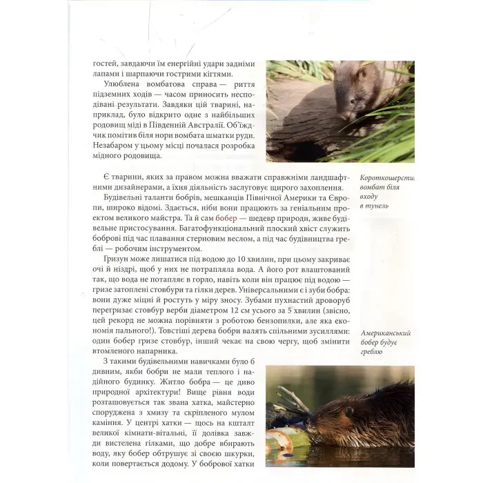 Енциклопедія для допитливих. Тварини - винахідники і будівельники (9789669356048)