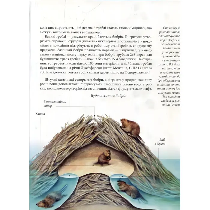 Енциклопедія для допитливих. Тварини - винахідники і будівельники (9789669356048)