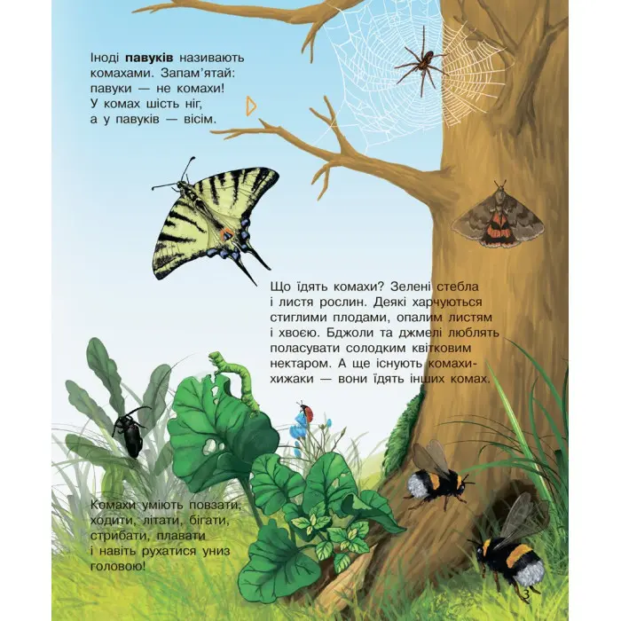 Енциклопедія дошкільника. Комахи