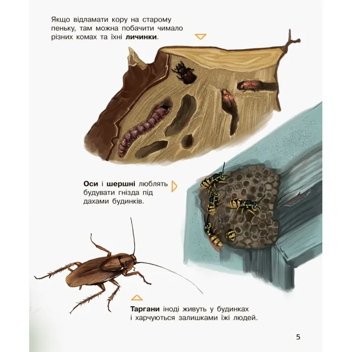 Енциклопедія дошкільника. Комахи