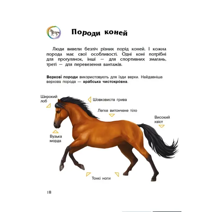 Енциклопедія дошкільника Коні