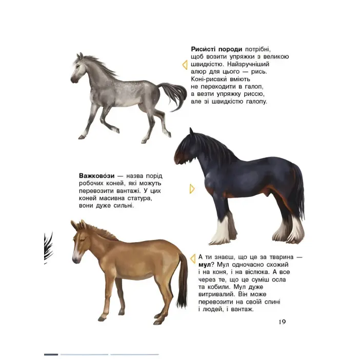 Енциклопедія дошкільника Коні