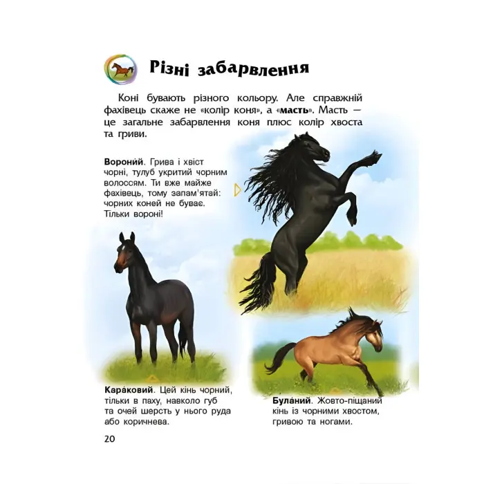 Енциклопедія дошкільника Коні