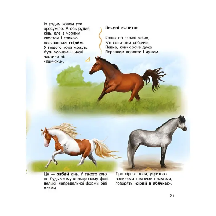 Енциклопедія дошкільника Коні