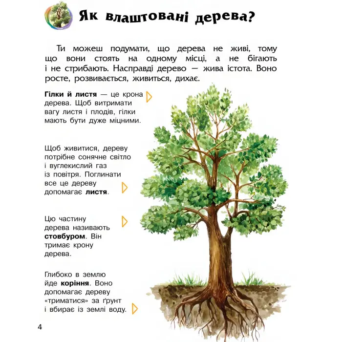 Енциклопедія дошкільника. Ліс