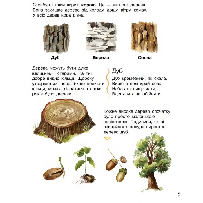 Енциклопедія дошкільника. Ліс