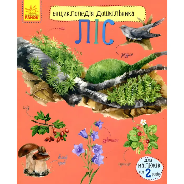 Енциклопедія дошкільника. Ліс