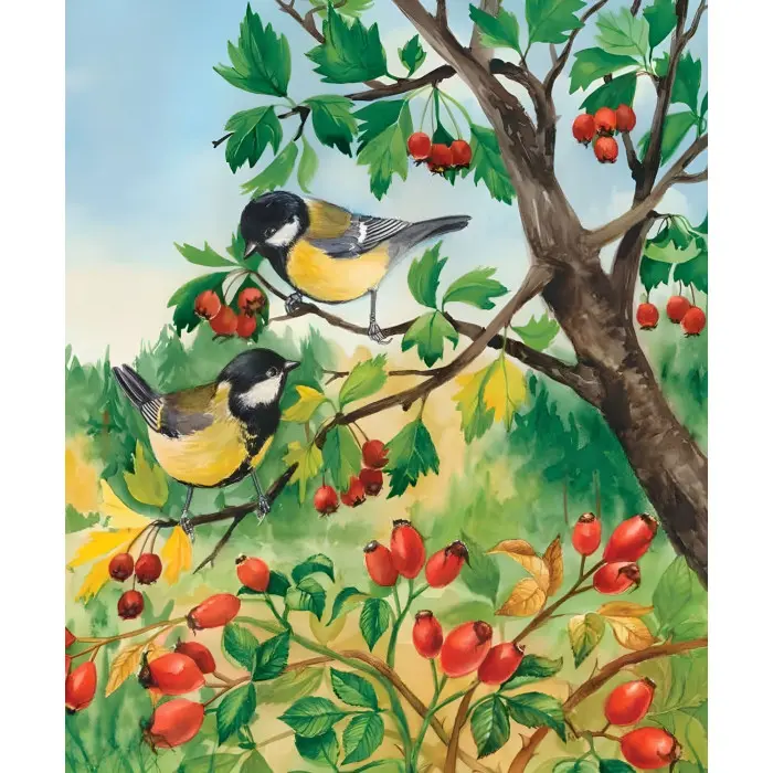 Енциклопедія дошкільника. Ліс рос (9786170936189)