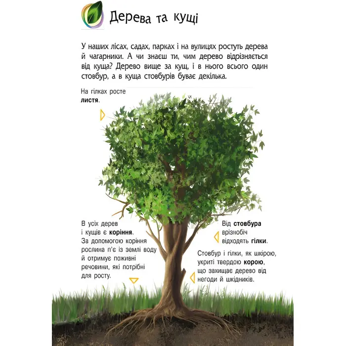 Енциклопедія дошкільника. Природа