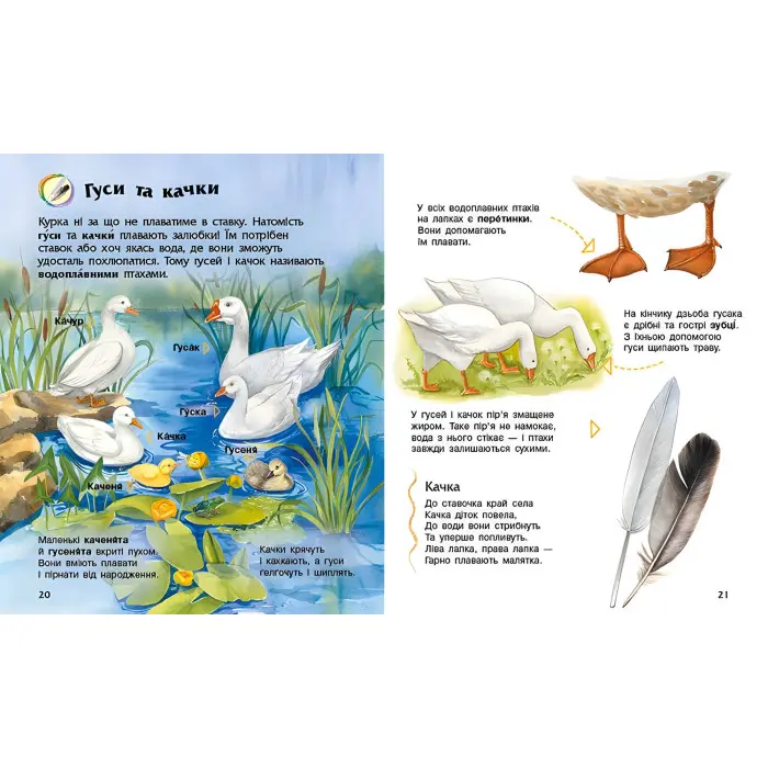 Енциклопедія дошкільника. Свійські тварини