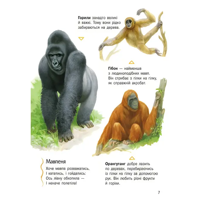 Енциклопедія дошкільника. Тварини