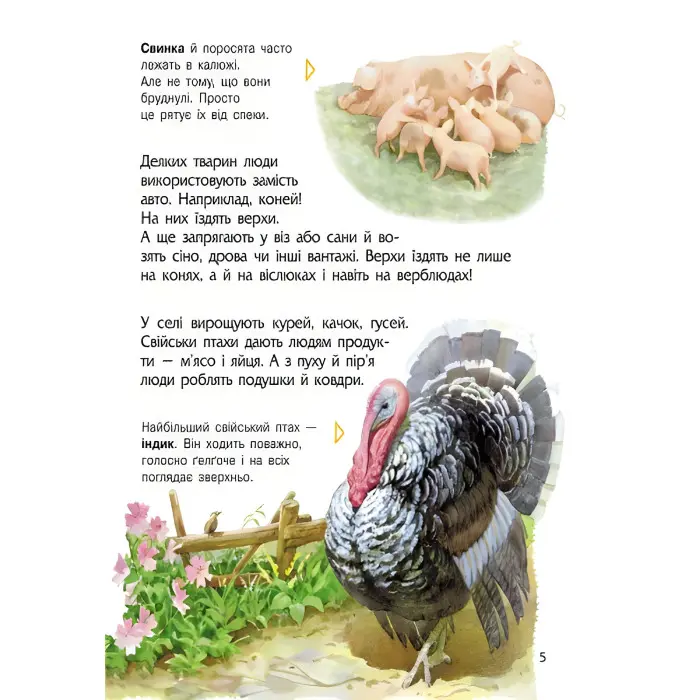 Енциклопедія дошкільника. Тварини