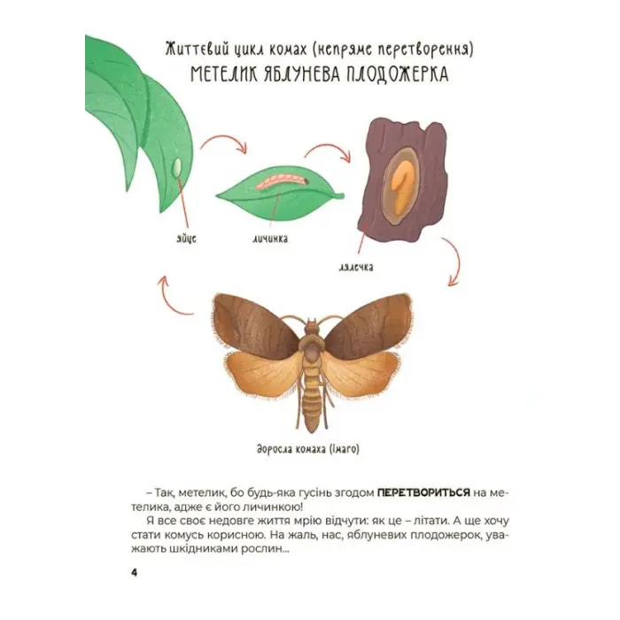 Енциклопедія Хочу знати «Дивовижні перетворення. Навіщо такі хвости» – пізнавальна книга для дітей (9786170043320)