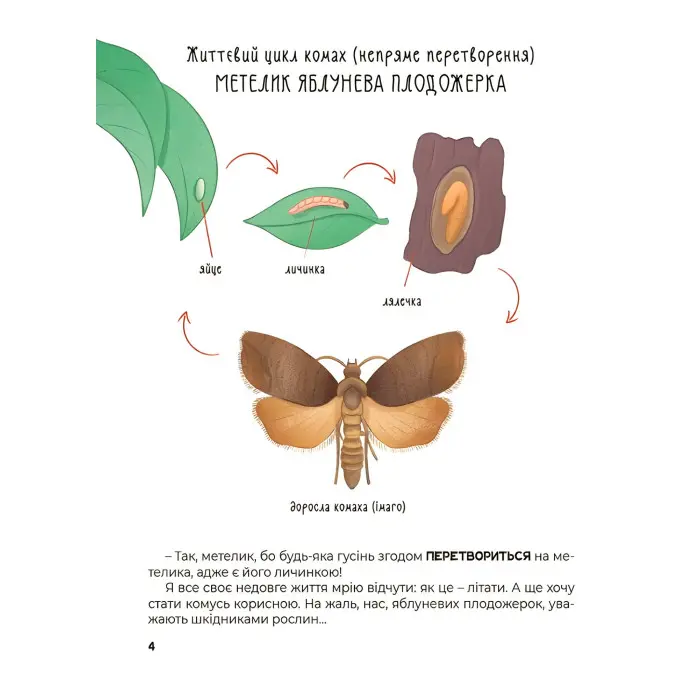 Енциклопедія Хочу знати «Дивовижні перетворення. Навіщо такі хвости» – пізнавальна книга для дітей (9786170043320)