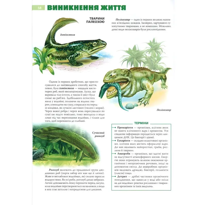 Енциклопедія необхідних знань школяра