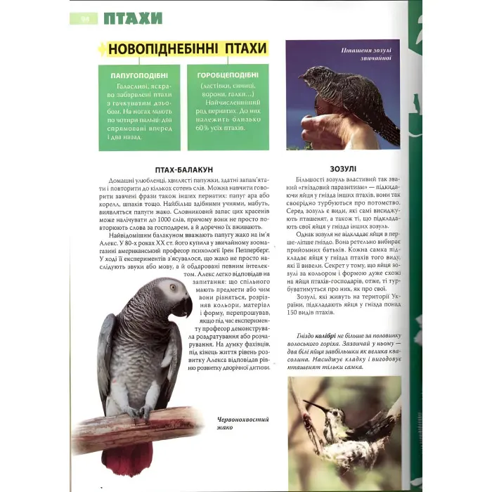 Енциклопедія необхідних знань школяра