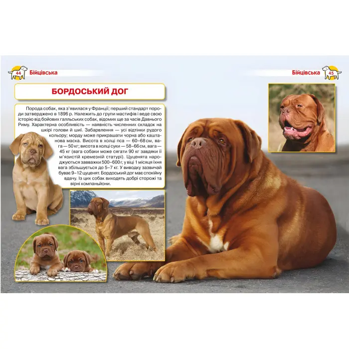 Енциклопедія. Собаки