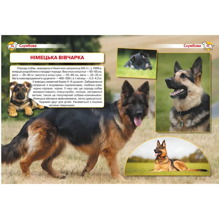 Енциклопедія. Собаки