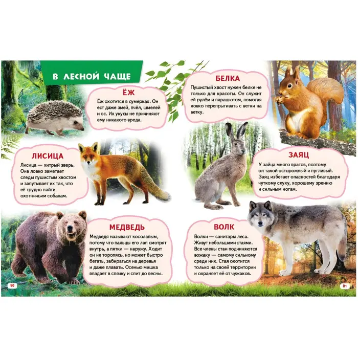 Енциклопедія «Велика книга знань для малюків» - пізнавальна книга для розвитку дитини (рос) (9789669472267)