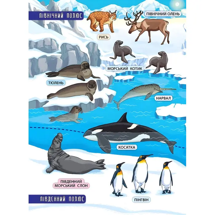 Енциклопедія з наліпками. Тварини світу