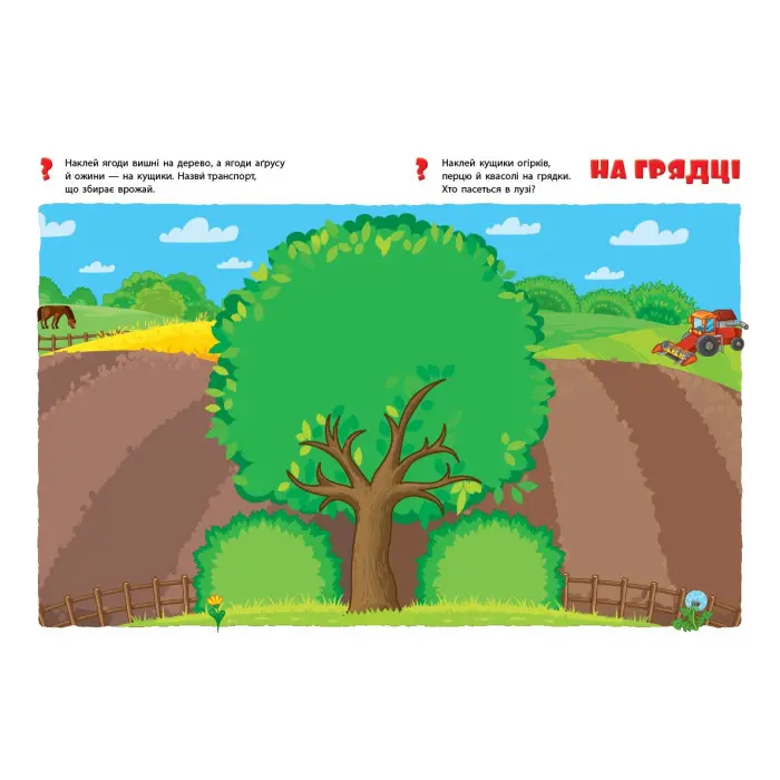 Фрукти й овочі