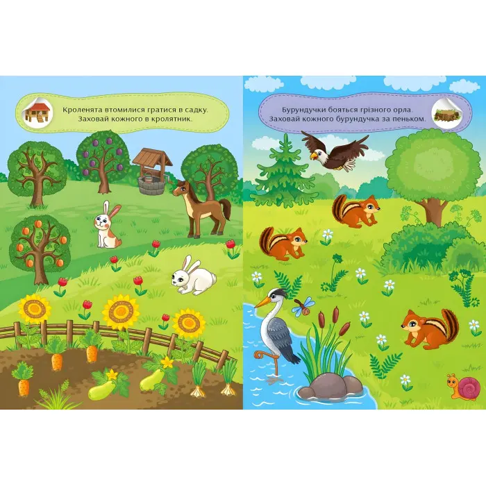 Граємо в хованки. Із чотирилапими друзями