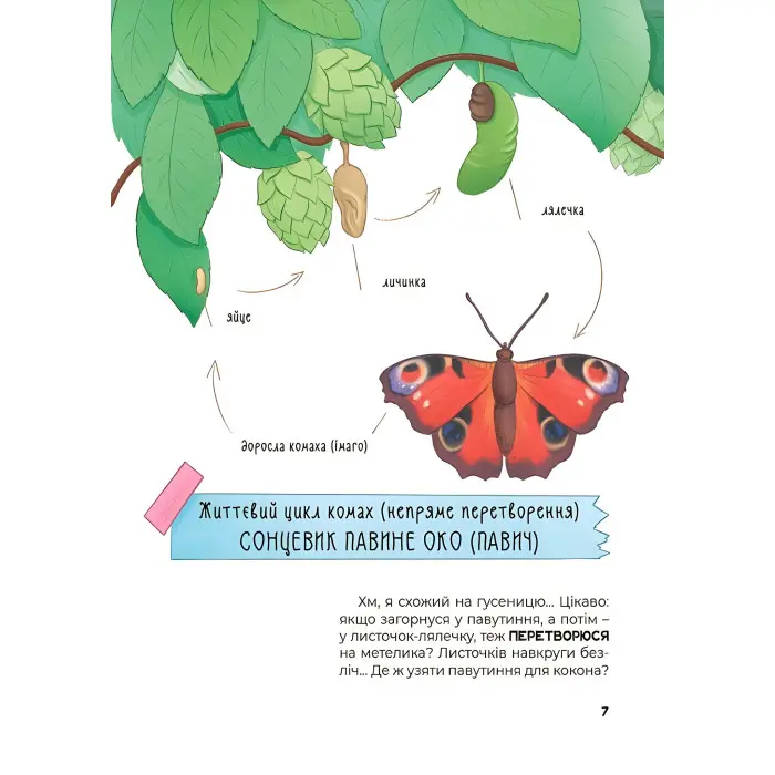 Хочу знати «Дивовижні перетворення. Хто ховався у яєчку» - пізнавальна книга для дітей про природу (9786170042682)