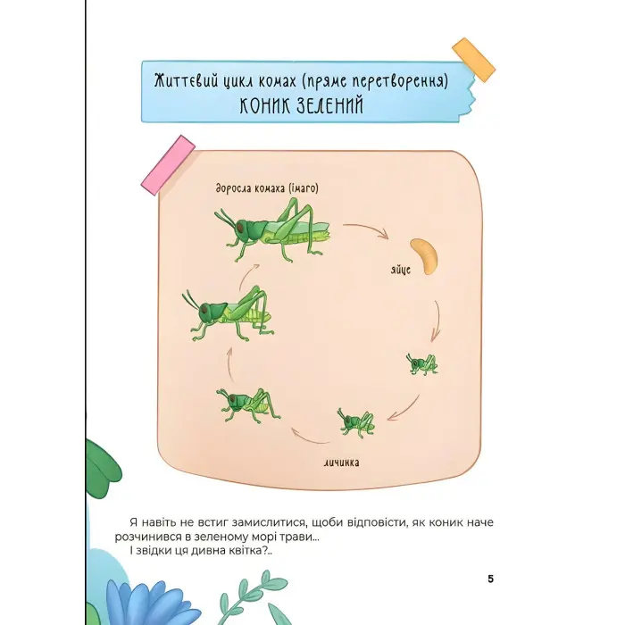 Хочу знати «Дивовижні перетворення. Хто ховався у яєчку» - пізнавальна книга для дітей про природу (9786170042682)
