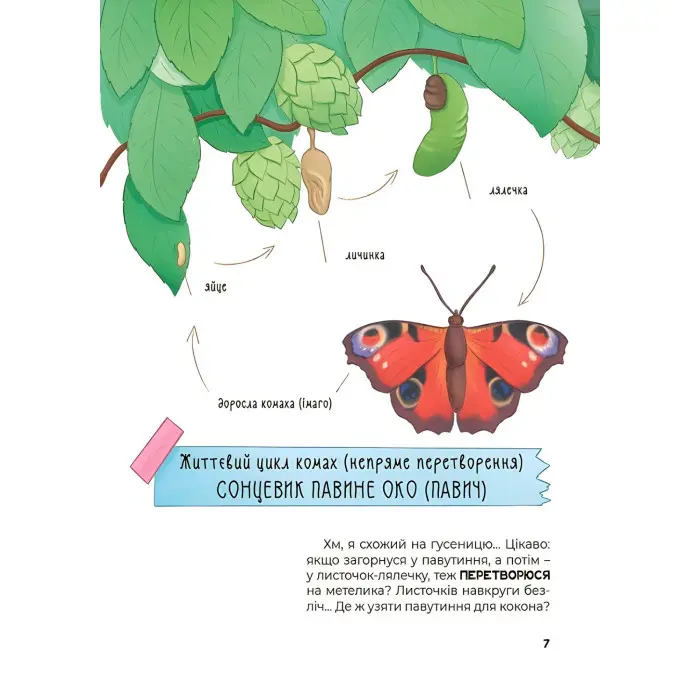Хочу знати «Дивовижні перетворення. Хто ховався у яєчку» - пізнавальна книга для дітей про природу (9786170042682)