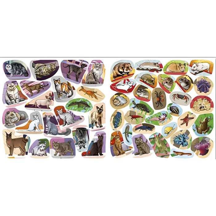 Хто де живе. Домашні улюбленці. Вишнева