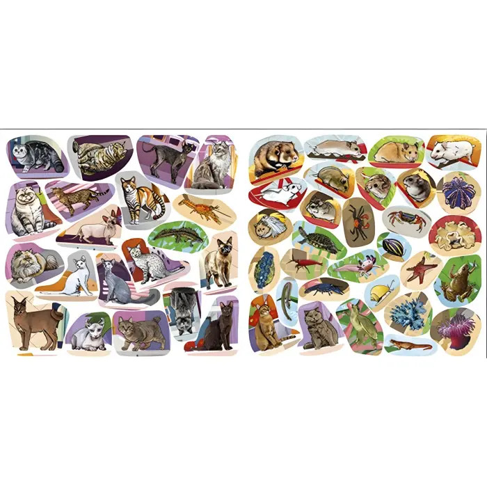 Хто де живе. Домашні улюбленці. Вишнева