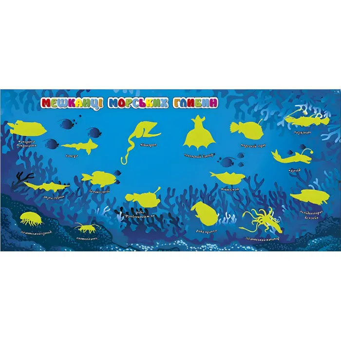 Хто де живе. Тварини світу. Фіолетова