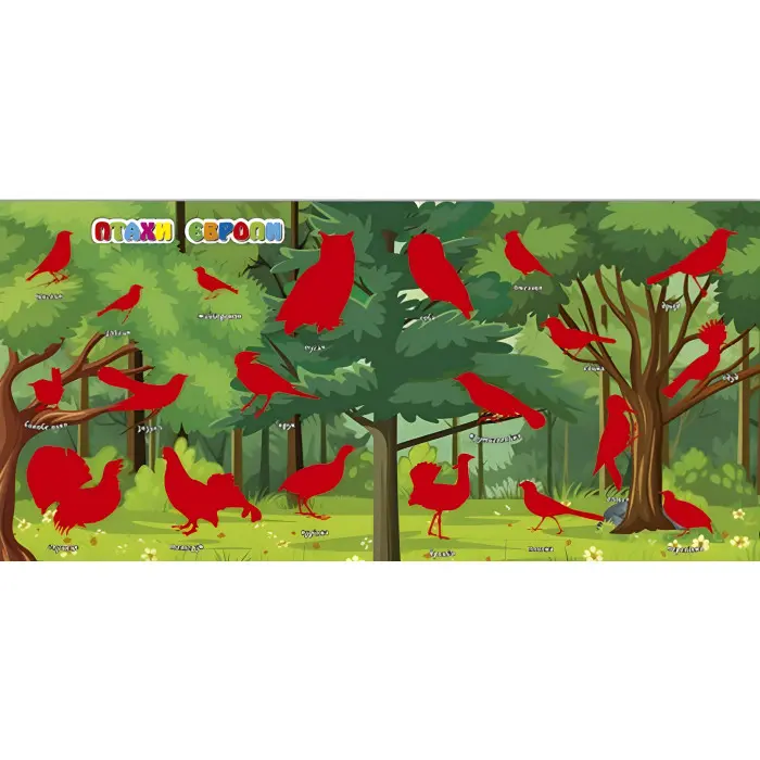 Хто де живе. Тварини світу. Фіолетова