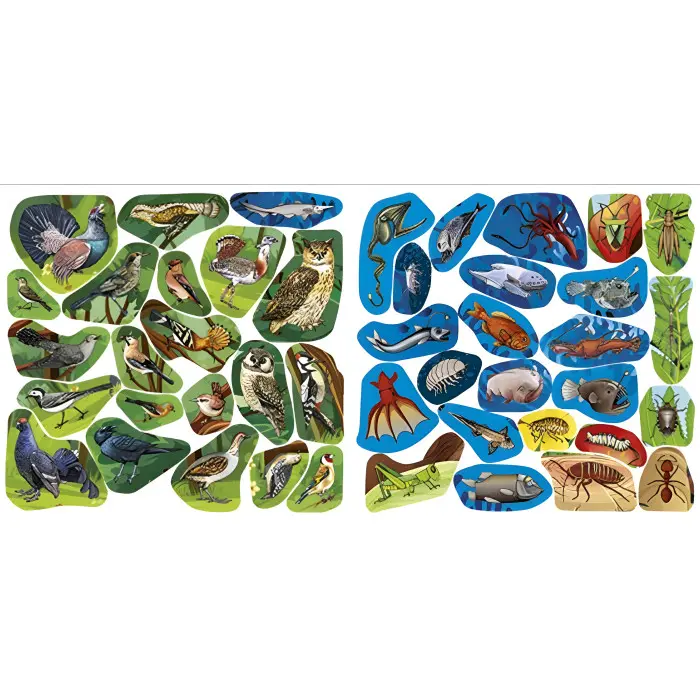 Хто де живе. Тварини світу. Фіолетова