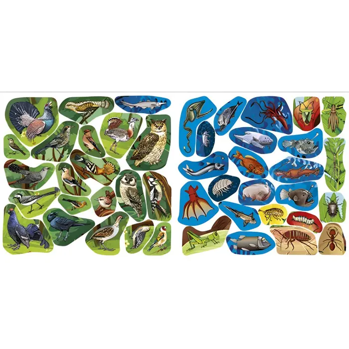 Хто де живе. Тварини світу. Фіолетова