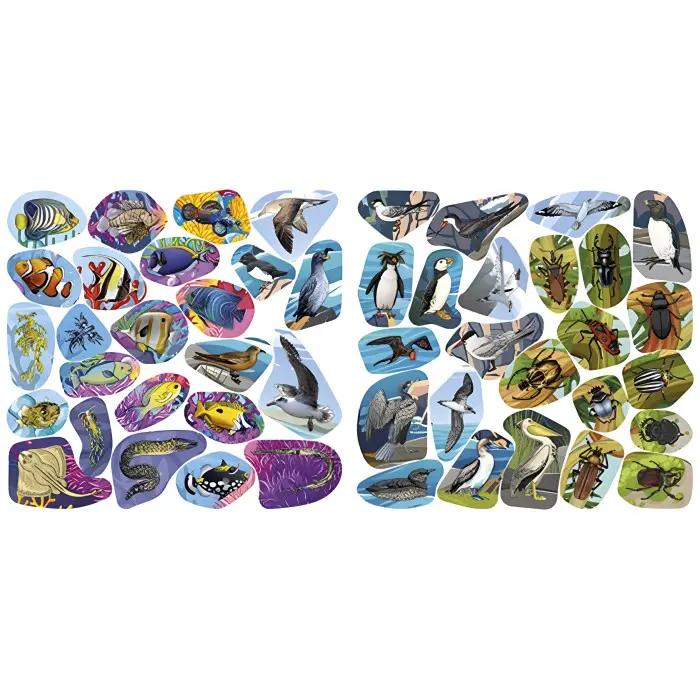 Хто де живе. Тварини світу. Помаранчева